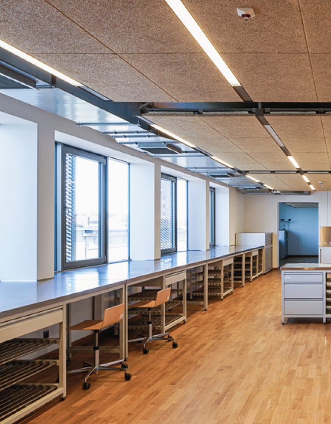 Основна снимка